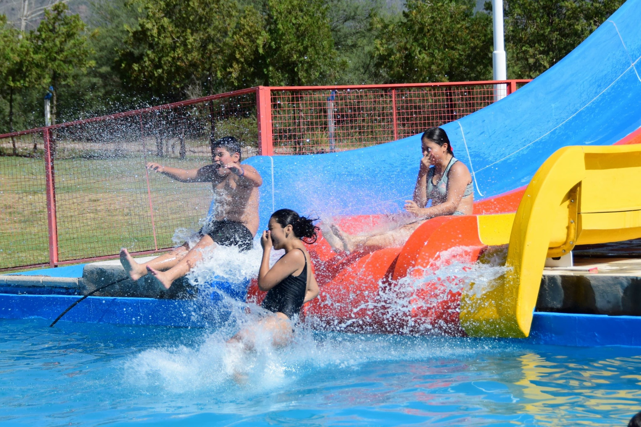 492538410_1257521839709010_2588463997445814927_n