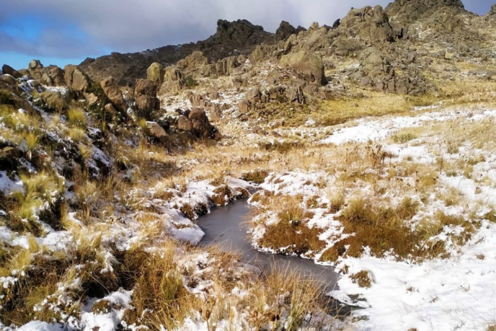 6286510a89fea177193316